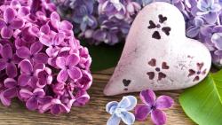 Сердце сиреневые цветы