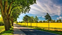 2560x1600, Солнечная аллея под голубым небом