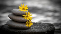 Абстрактные обои камней