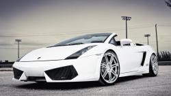 Белая Ламборгини Галлардо обои