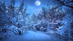 Голубая луна, снег, ночь, лес, зима, сказка, картинки, скачать