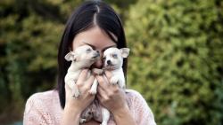 Девушка держит щенков в руках