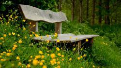 Деревянная лавка с желтыми цветами