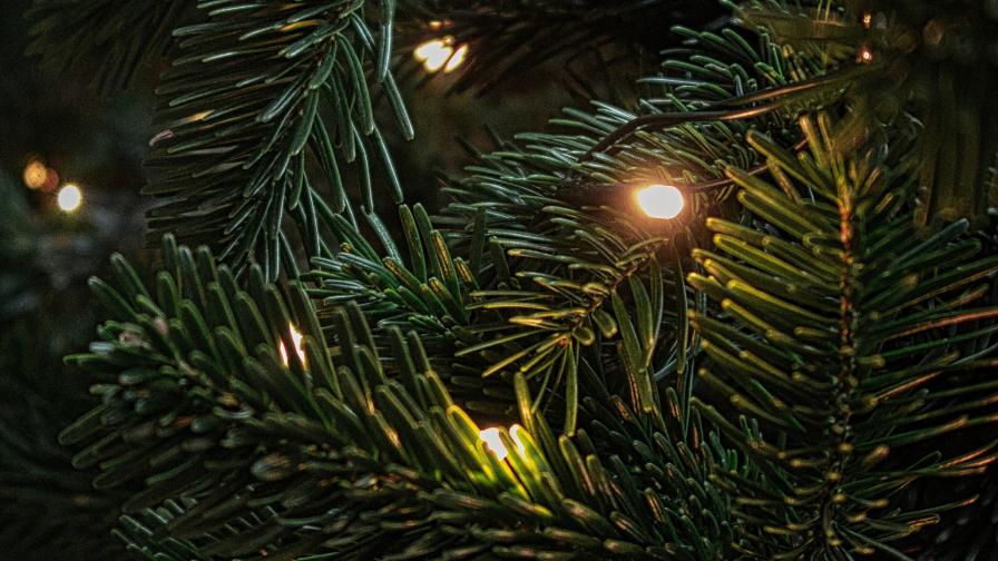 Елочные украшения скачать картинки