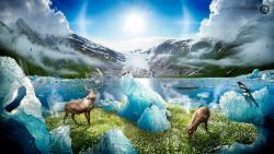 Картинки таяние льдов