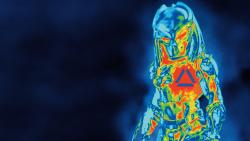 Картинки хищника 