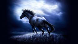 Конь ночью заставки на рабочий стол hd