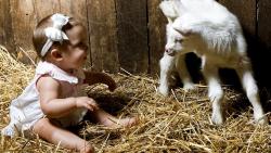 Маленькая девочка с козленком в хлеву