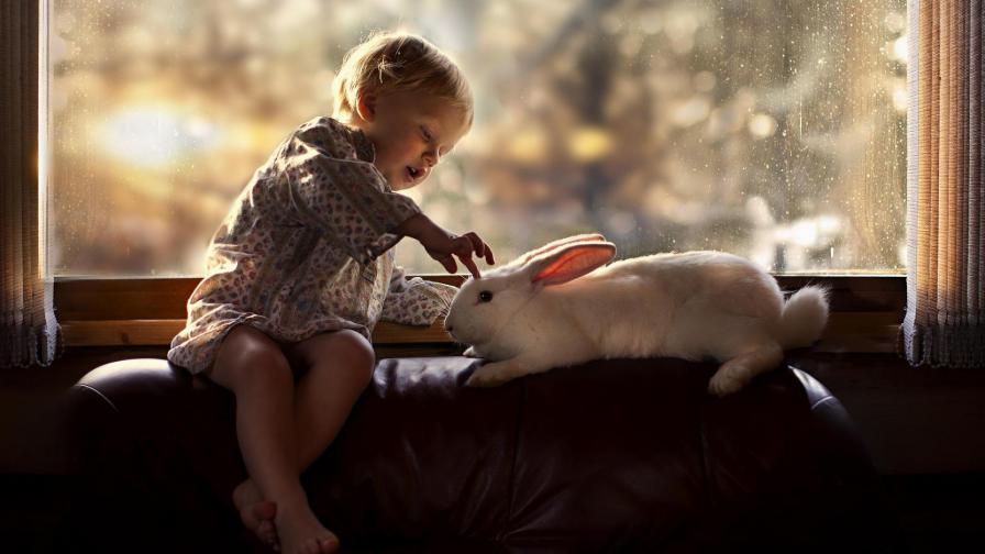 Маленький ребенок и кролик