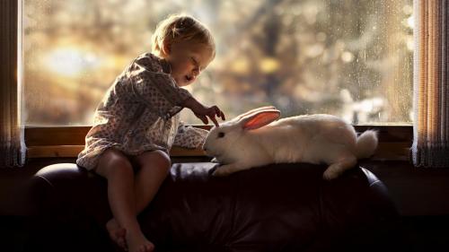 Маленький ребенок и кролик