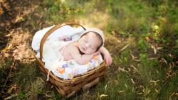 Малыш в корзинке на природе спит картинки