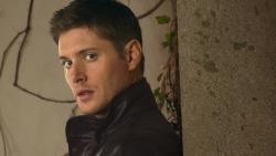 Обои Дженсена Эклса (Дин Винчестер)