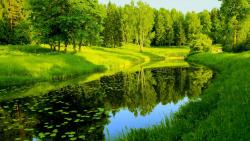 Обои лета цветущей реки