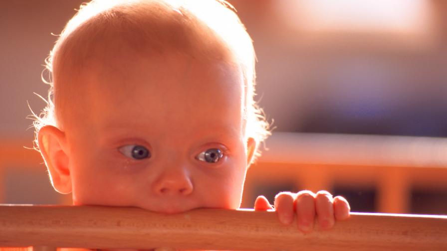 Обои на рабочий стол малыши