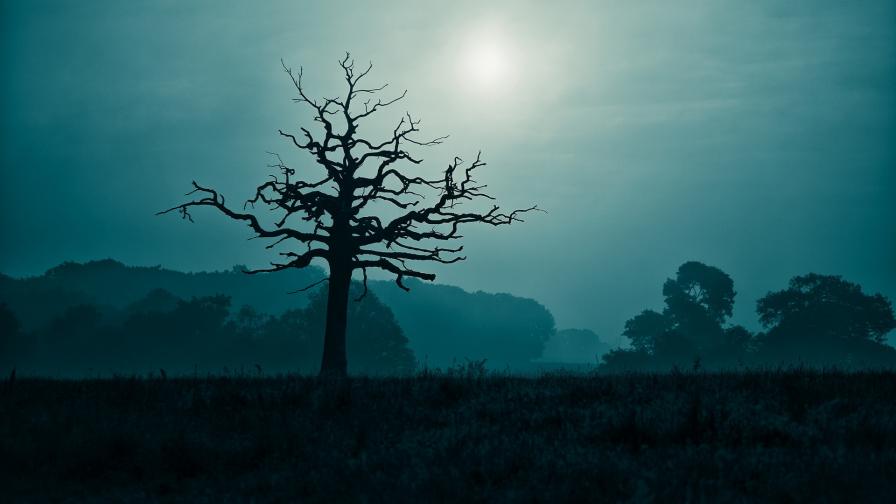 Обои сумрачной природы скачать бесплатно