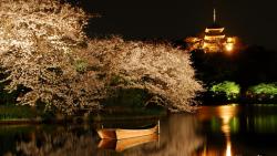 Озеро, лодка, деревья вишни, башни, ночные огни, пейзаж, обои, картинки