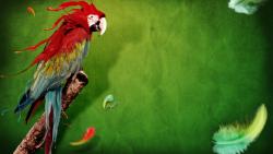 Попугай на природе скачать картинки