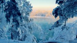 Природа, Озера, деревья, лес, Солнечный свет, Восход, Отражение воды, зима, снег, фото, обои