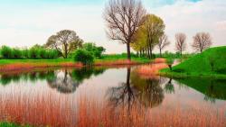 Природа весна река картинки для рабочего стола скачать