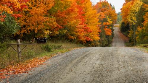 Природа, осенние деревья, пейзаж, 1920x1200