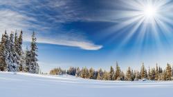 Природа, пейзаж, деревья, лес, зимний снег, солнечный свет, лучи, фото высокого качества