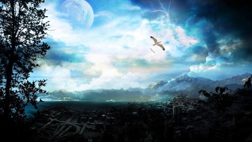 Птица в лунном свете