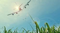 Самолеты, Поля, Солнце, Небо, HD