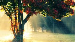 Скачать картинки природа