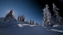 Склон, гора, зима, снег, лес, небо, обои для рабочего стола