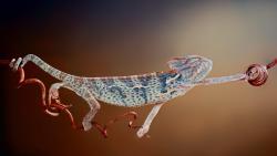 Смешные обои хамелеона обои hd