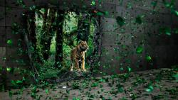 Тигр, фэнтези, природа, заставки, животное, картинки