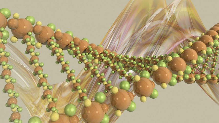 Фото ДНК молекула строение