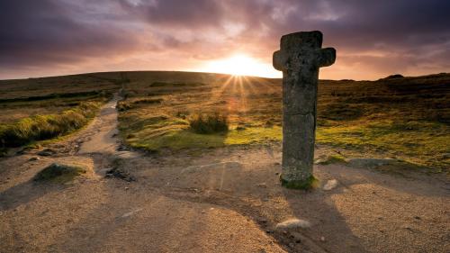 Фото широкого луга скачать