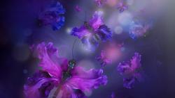 бабочки, лепестки, пурпурный, флора, цветы обои HD