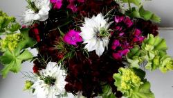 гвоздики, цвет, композиция, вкус