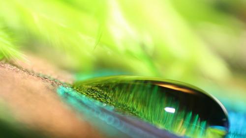 зеленый капли воды бесплатно обои