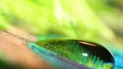 зеленый капли воды бесплатно обои