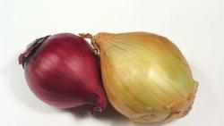 лук фоны для рабочего стола