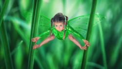 маленькая фея картинки