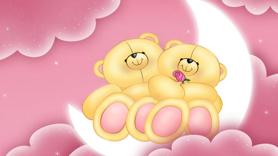 медвежата на луне