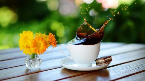 обои на монитор