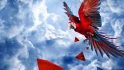 попугай картинки для детей