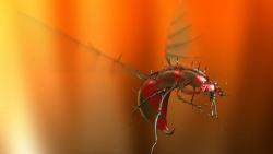 робот осы картинки бесплатно