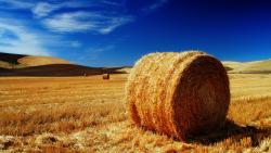 1920x1200, Скошенное поле и стог сена природа