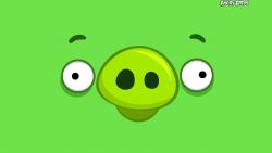 Angry Birds счастливой свиньей искусство обои hd