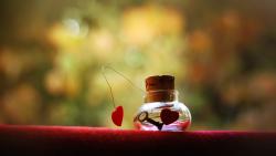 love prison wallpapers high resolution hd