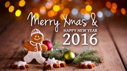 Merry Christmas and Happy New Year 2016
